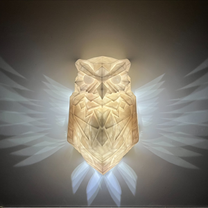 Cozium™ 3D Owl Wall Lamp